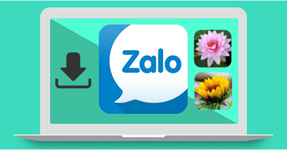 Zalo form là gì - Định nghĩa theo hệ thống Zalo Ads Zalo form là gì - Định nghĩa theo hệ thống Zalo Ads